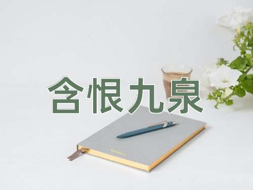 成语含恨九泉