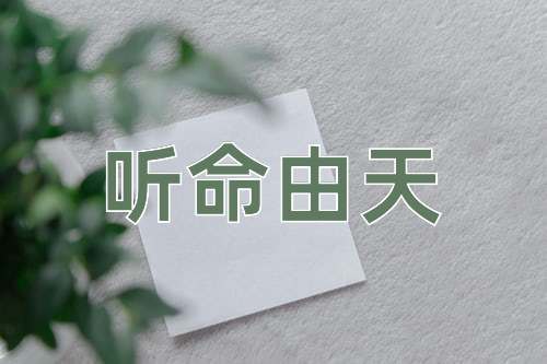 成语听命由天