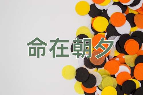 成语命在朝夕