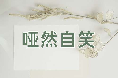 成语哑然自笑