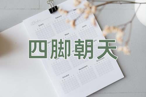 成语四脚朝天