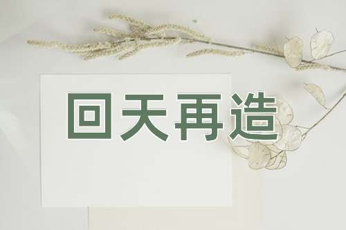 成语回天再造