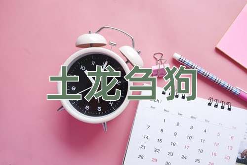 成语土龙刍狗