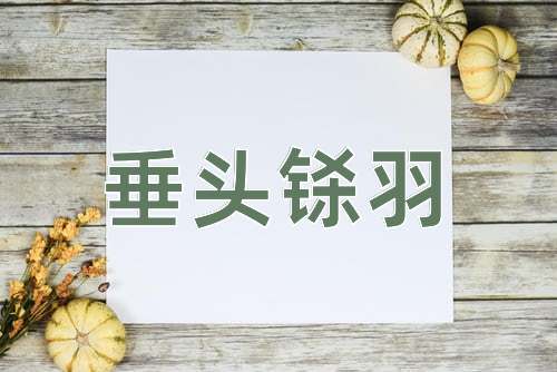 成语垂头铩羽