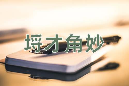成语埒才角妙