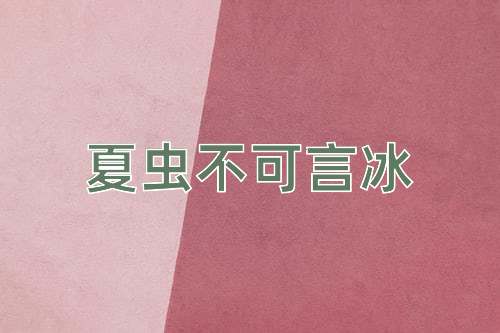 成语夏虫不可言冰