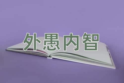 成语外愚内智