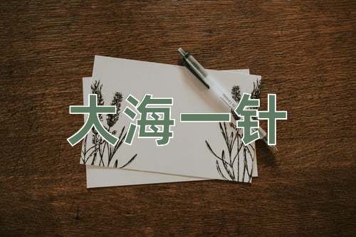 成语大海一针
