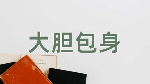 成语大胆包身