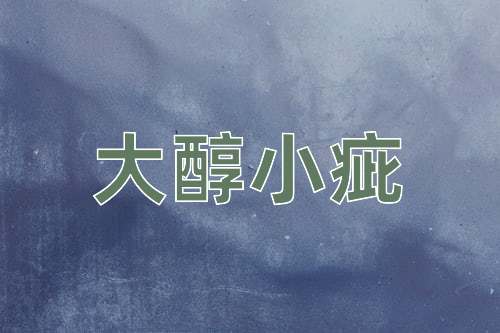 成语大醇小疵