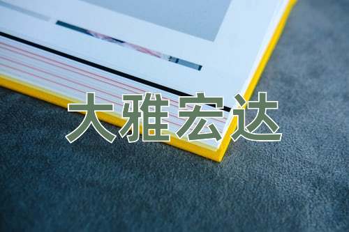 成语大雅宏达