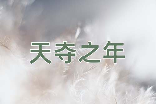 成语天夺之年