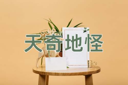 成语天奇地怪