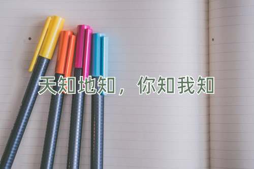成语天知地知，你知我知