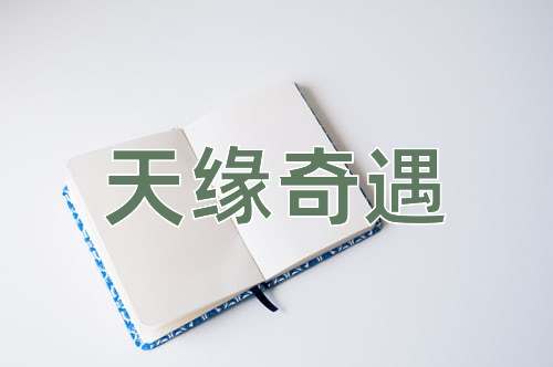 成语天缘奇遇