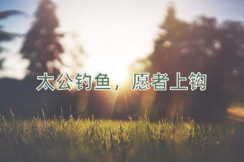 成语太公钓鱼，愿者上钩