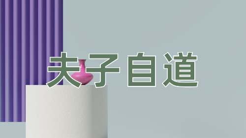 成语夫子自道
