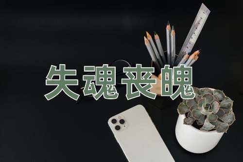 成语失魂丧魄