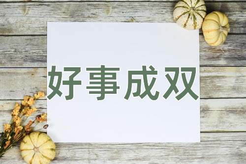 成语好事成双