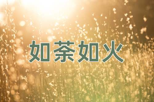 成语如荼如火