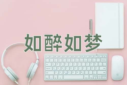 成语如醉如梦
