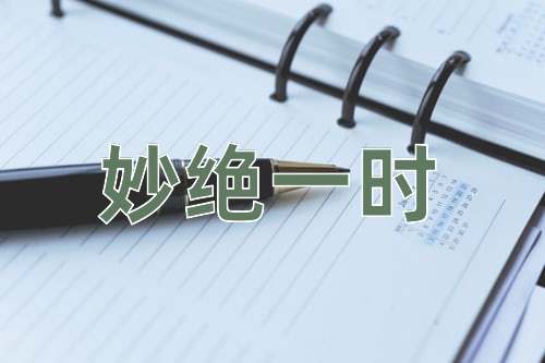 成语妙绝一时