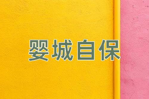 成语婴城自保