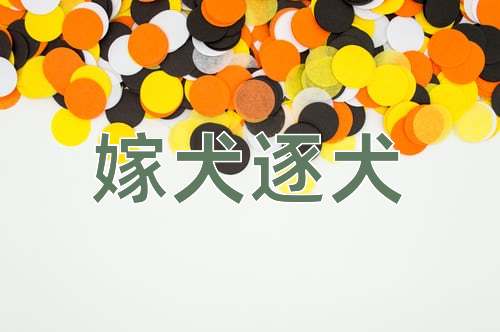 成语嫁犬逐犬