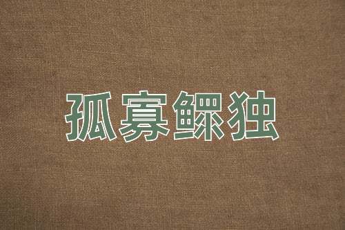 成语孤寡鳏独