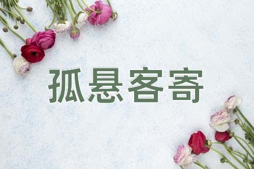 成语孤悬客寄