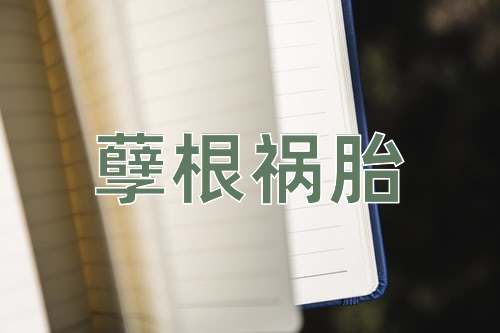 成语孽根祸胎