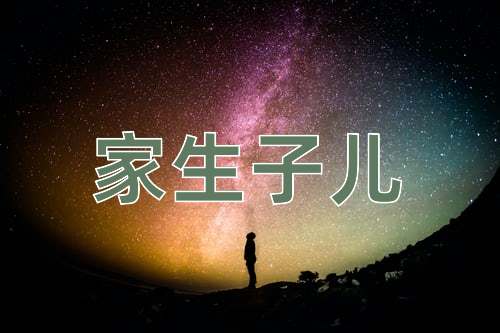 成语家生子儿