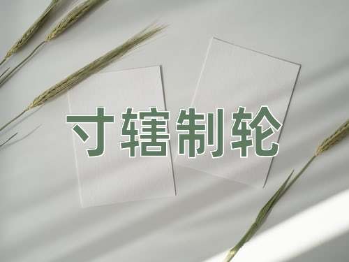 成语寸辖制轮