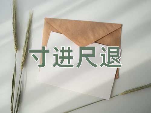 成语寸进尺退