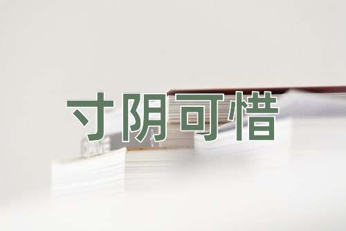 成语寸阴可惜
