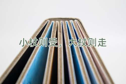 成语小杖则受，大杖则走