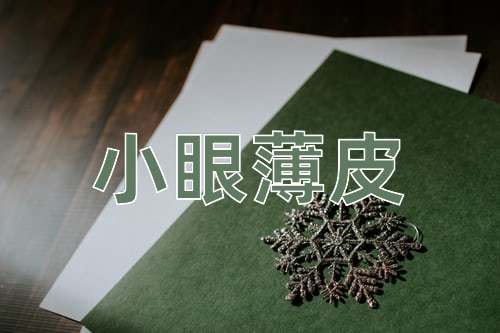 成语小眼薄皮