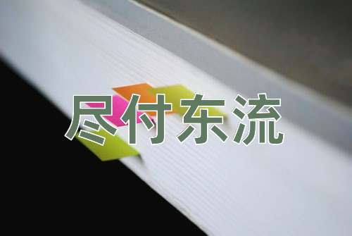 成语尽付东流