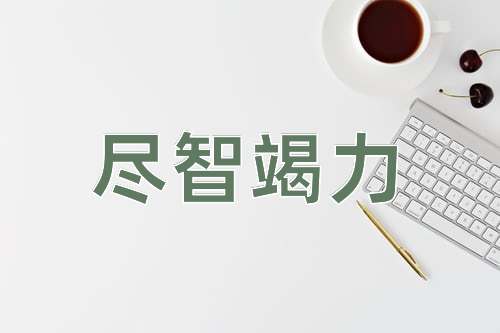 成语尽智竭力