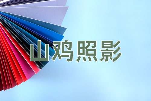 成语山鸡照影