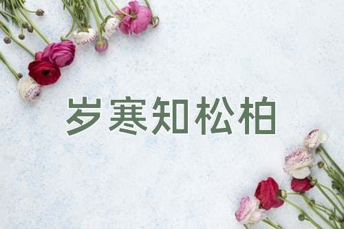 成语岁寒知松柏