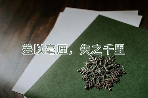 成语差以毫厘，失之千里