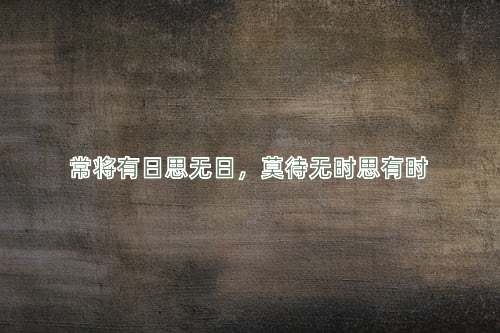 成语常将有日思无日，莫待无时思有时