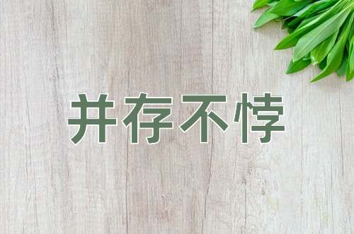 成语并存不悖