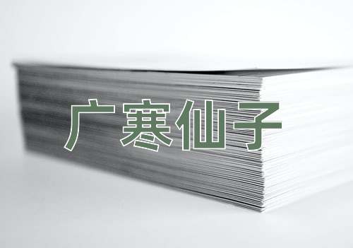 成语广寒仙子