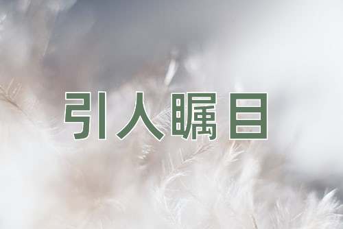 成语引人瞩目
