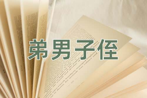 成语弟男子侄