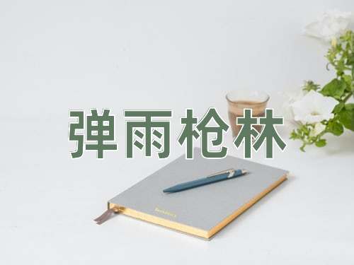 成语弹雨枪林