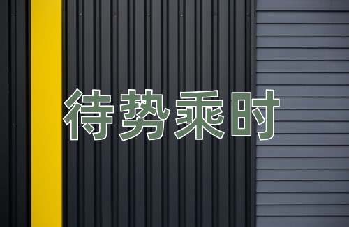 成语待势乘时