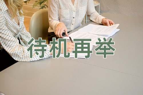 成语待机再举